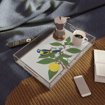 Blue Tit & Butterfly Acrylic Serving Tray