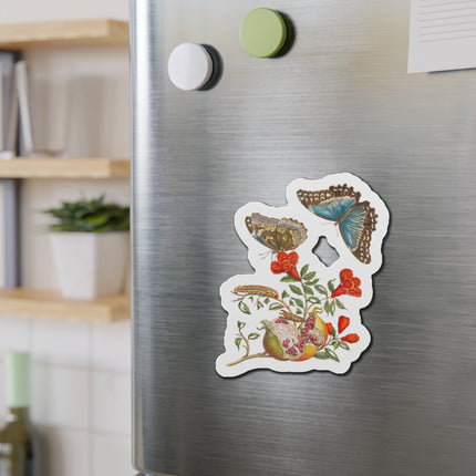 Blue Butterflies and Pomegranate by Maria Sibylla Merian Die-Cut Magnets (5 Sizes)