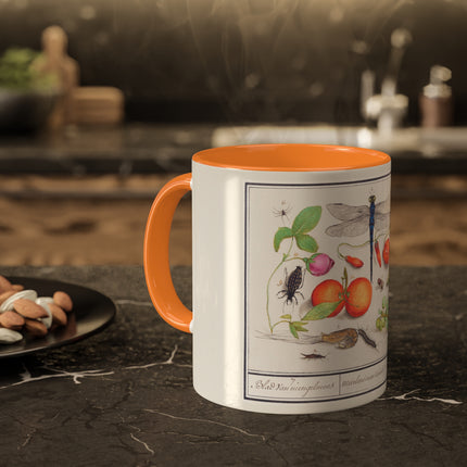 Natural History Ensemble, No. 7 by Anselmus Boëtius de Boodt Colorful Mugs, 11oz