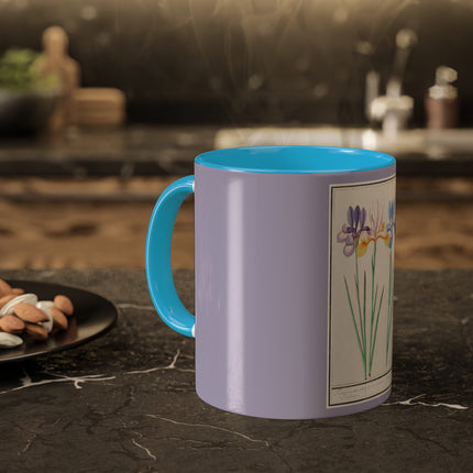 Iris, Iris sibirica by Anselmus Boëtius de Boodt Colorful Mugs, 11oz
