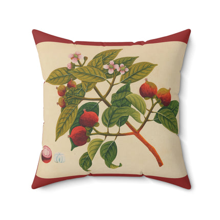 Album of watercolors of Asian fruits and flowers Pl.17 by Anonymous Spun Polyester Square Pillow