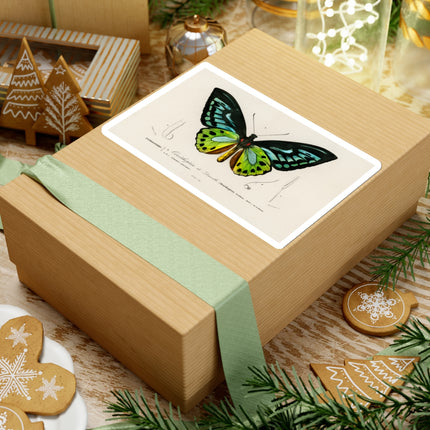 Green Birdwing by Charles Dessalines D' Orbigny Kiss-Cut Stickers (4 Sizes)