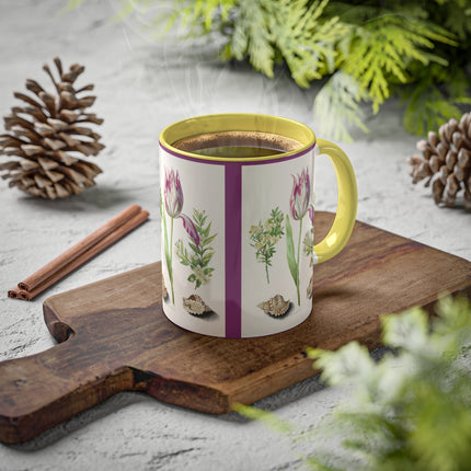 Tulip, Branches of Myrtle and Shells by Maria Sibylla Merian Colorful Mugs, 11oz