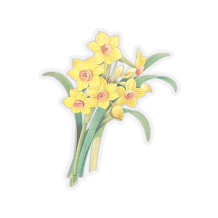 Chinese Sacred Lily botanical illustration by Pierre-Joseph Redouté Kiss-Cut Stickers (4 Sizes)