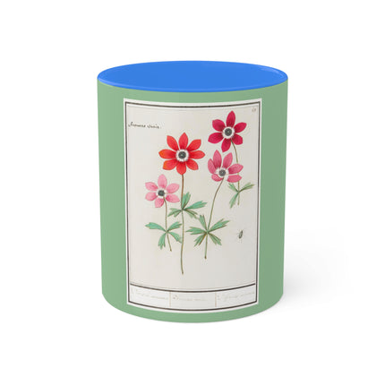Anemoon, Anemone by Anselmus Boëtius de Boodt Colorful Mugs, 11oz