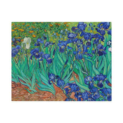 Irises by Vincent Van Gogh Puzzle (30, 110, 252, 500-Piece)
