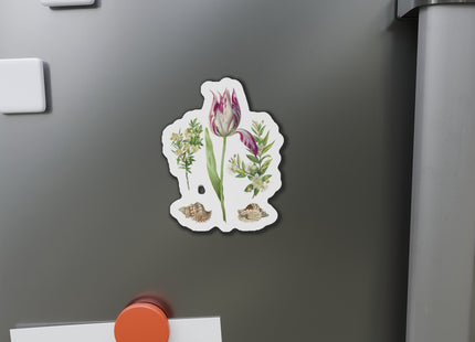 Tulip, Branches of Myrtle, and Shells by Maria Sibylla Merian Die-Cut Magnets (5 Sizes)