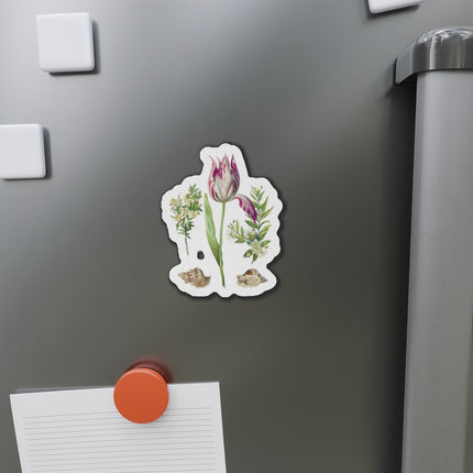 Tulip, Branches of Myrtle, and Shells by Maria Sibylla Merian Die-Cut Magnets (5 Sizes)