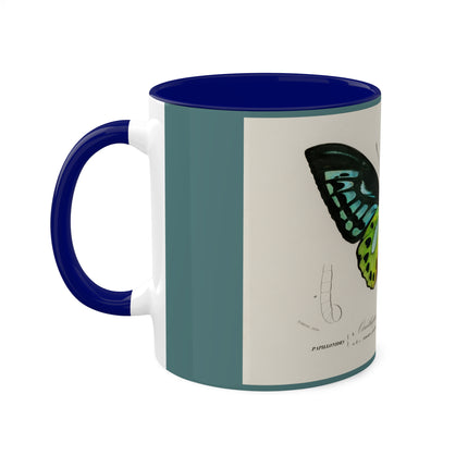 Green Birdwing by Charles Dessalines D' Orbigny Colorful Mugs, 11oz