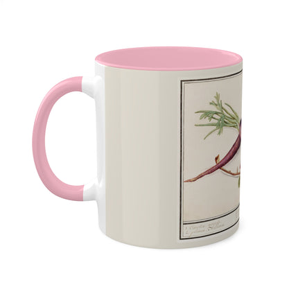 Carrot, Daucus Carota and Red currant, Ribes rubrum by Anselmus Boëtius de Boodt Colorful Mugs, 11oz