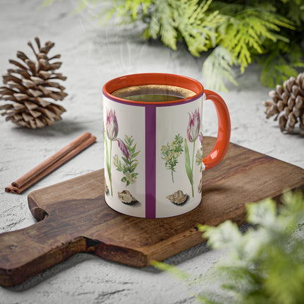 Tulip, Branches of Myrtle and Shells by Maria Sibylla Merian Colorful Mugs, 11oz