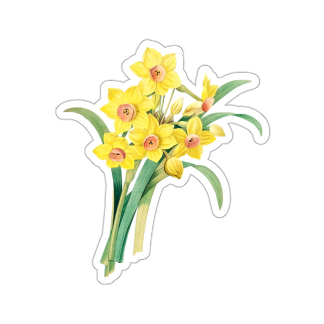 Chinese Sacred Lily botanical illustration by Pierre-Joseph Redouté Kiss-Cut Stickers (4 Sizes)