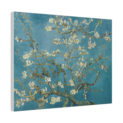 Almond Blossom by Vincent van Gogh Matte Canvas, Stretched, 0.75"