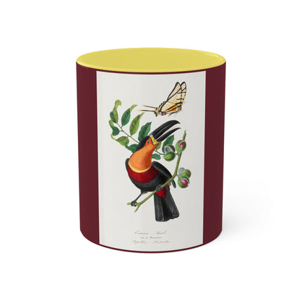 Channel Billed Toucan by Paul Gervais Colorful Mugs, 11oz