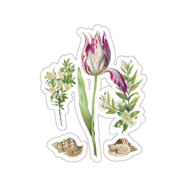 Tulip, two Branches of Myrtle and two Shells by Maria Sibylla Merian Kiss-Cut Stickers (4 Sizes)