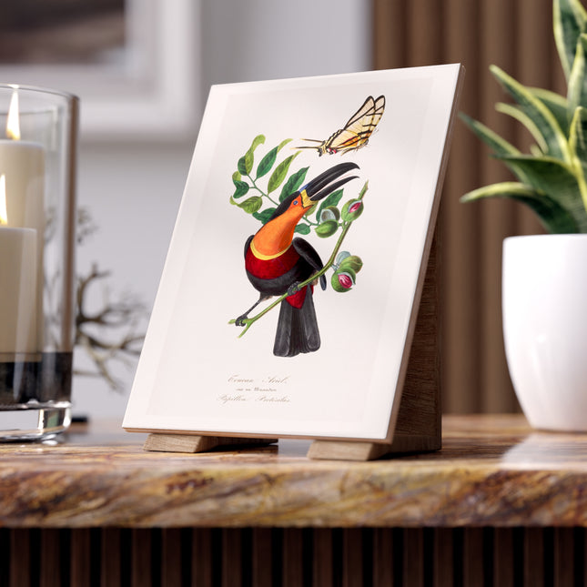 Channel Billed Toucan by Paul Gervais Ceramic Tile