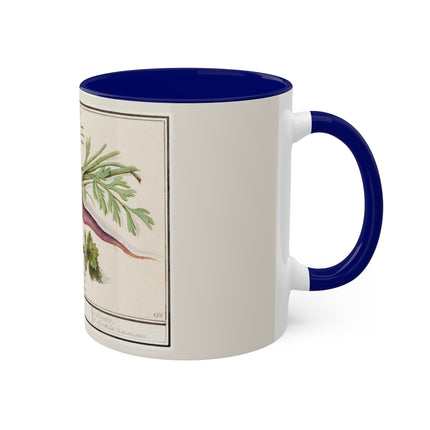 Carrot, Daucus Carota and Red currant, Ribes rubrum by Anselmus Boëtius de Boodt Colorful Mugs, 11oz