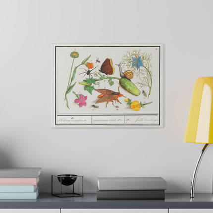 Natural History Ensemble No. 3 – Late Renaissance Illustration by Anselmus Boëtius de Boodt