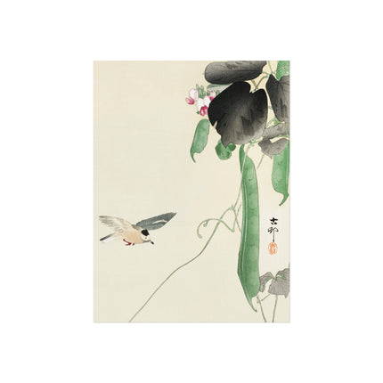 Bird at Flowering Bean Plant by Ohara Koson Fine Art Posters