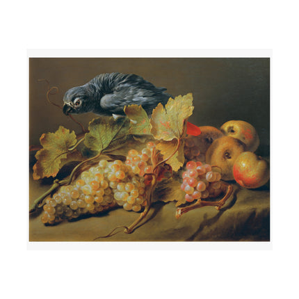 Still Life with Parrot and Grapes by Erasmus Von Engert Matte Horizontal Posters