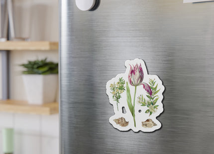 Tulip, Branches of Myrtle, and Shells by Maria Sibylla Merian Die-Cut Magnets (5 Sizes)