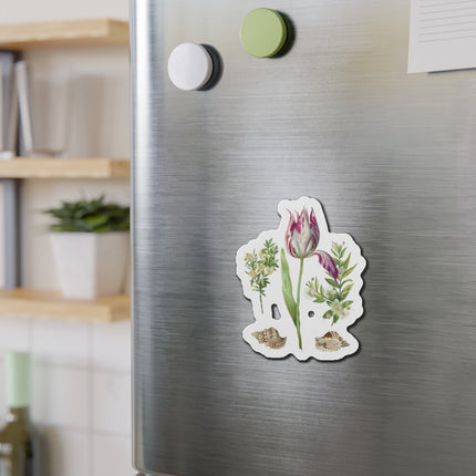 Tulip, Branches of Myrtle, and Shells by Maria Sibylla Merian Die-Cut Magnets (5 Sizes)