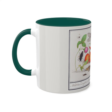 Natural History Ensemble, No. 7 by Anselmus Boëtius de Boodt Colorful Mugs, 11oz
