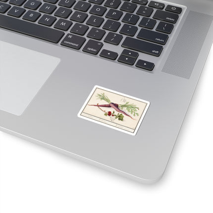 Carrot, Daucus carota and red currant, Ribes rubrum by Anselmus Boëtius de Boodt Kiss-Cut Stickers (4 Sizes)