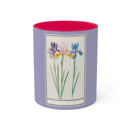 Iris, Iris sibirica by Anselmus Boëtius de Boodt Colorful Mugs, 11oz