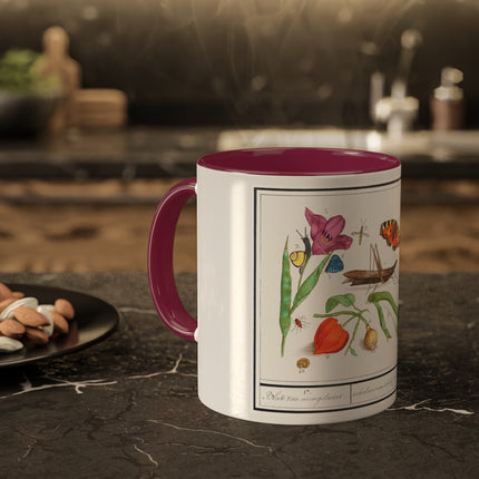 Natural History Ensemble, No. 17 by Anselmus Boëtius de Boodt Colorful Mugs, 11oz