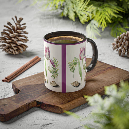 Tulip, Branches of Myrtle and Shells by Maria Sibylla Merian Colorful Mugs, 11oz