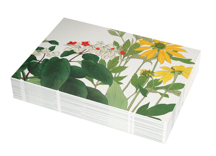 Clerodendrum & Rudbeckia by Tanigami Kônan Postcards (envelopes included) - Bundles of 10, 30, 50 Pieces
