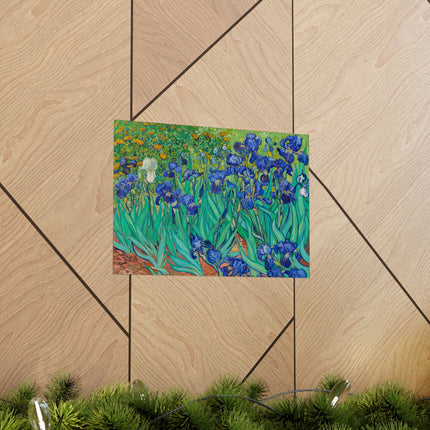 Irises by Vincent Van Gogh Matte Horizontal Posters
