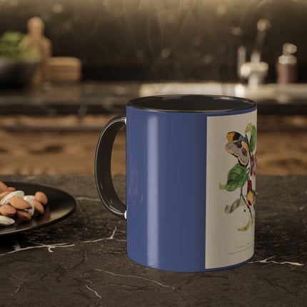 Versicolored Barbet by Paul Gervais Colorful Mugs, 11oz