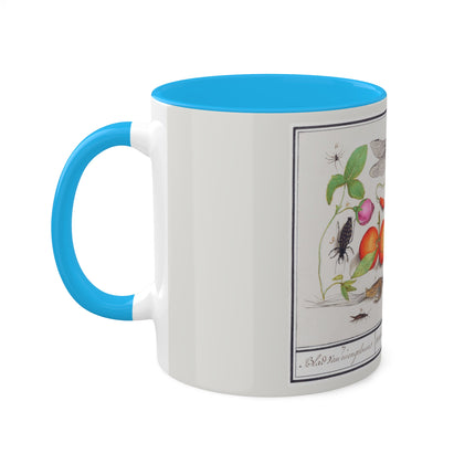 Natural History Ensemble, No. 7 by Anselmus Boëtius de Boodt Colorful Mugs, 11oz