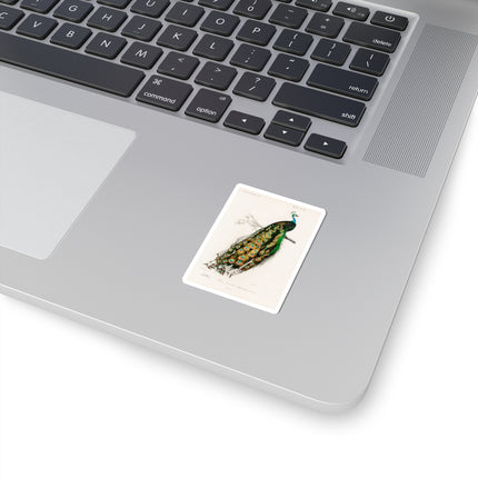 Indian Peafowl by Charles Dessalines D' Orbigny Kiss-Cut Stickers (4 Sizes)