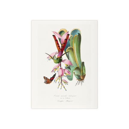 Hummingbird by Paul Gervais Ceramic Tile