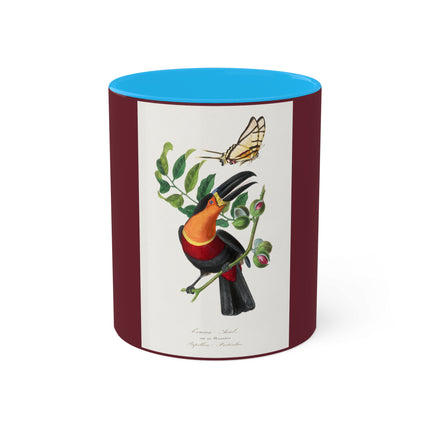Channel Billed Toucan by Paul Gervais Colorful Mugs, 11oz