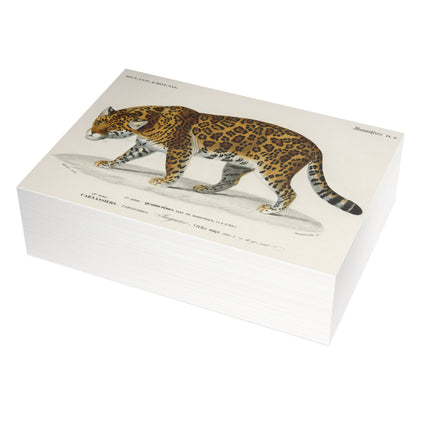 Jaguar by Charles Dessalines D'Orbigny Postcards (envelopes included) - Bundles of 10, 30, 50 Pieces