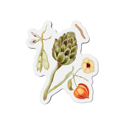 Artichoke, Broad Beans, and Lantern Plant by Anselmus Boëtius de Boodt Die-Cut Magnets (5 Sizes)