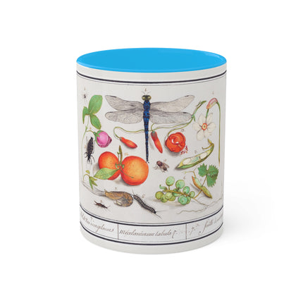 Natural History Ensemble, No. 7 by Anselmus Boëtius de Boodt Colorful Mugs, 11oz