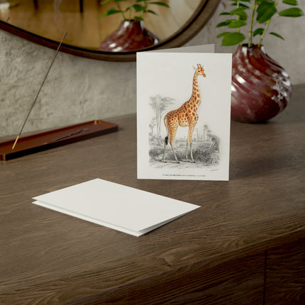 Giraffe by Charles Dessalines D' Orbigny Greeting Cards (1, 10, 30, and 50pcs)