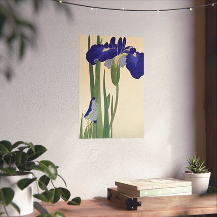 Blue Irises by Ohara Koson Fine Art Posters