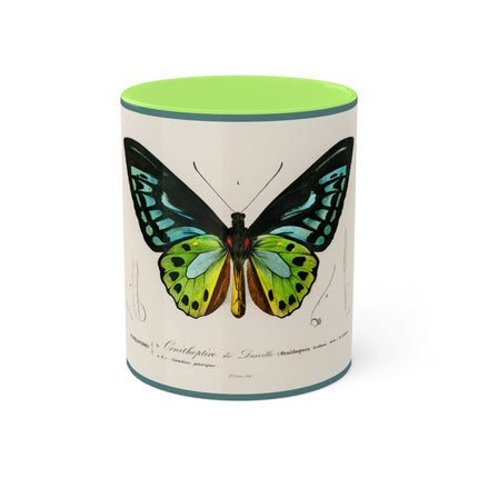 Green Birdwing by Charles Dessalines D' Orbigny Colorful Mugs, 11oz