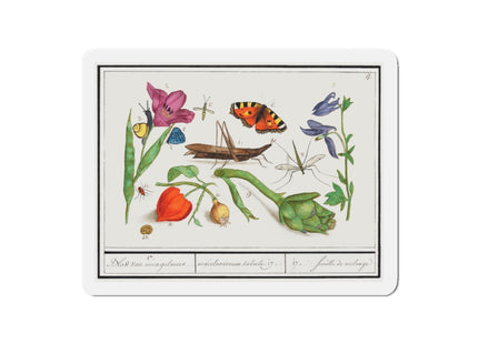 Natural History Ensemble, No. 17 Die-Cut Magnets (5 Sizes)