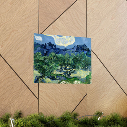 Olive Trees by Vincent Van Gogh Matte Horizontal Posters