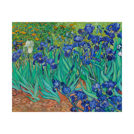 Irises by Vincent Van Gogh Matte Horizontal Posters