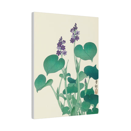 Blooming Hosta by Ohara Koson – Japanese Botanical Elegance