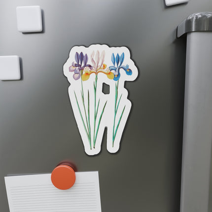 Iris, Iris sibirica by Anselmus Boëtius de Boodt Die-Cut Magnets (5 Sizes)