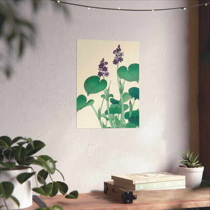 Blooming Hosta by Ohara Koson Fine Art Posters